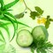 Cucumber Aloe Fragrance Oil (Our Version of the Brand Name) (1 oz Bottle) for Candle Making, Soap Making, Tart Making, Room Sprays, Lotions, Car Fresheners, Slime, Bath Bombs, Warmers…